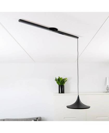 Lightswing Zwart Single Ophangsysteem voor hanglampen