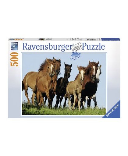 Ravensburger puzzel Kudde paarden - 500 stukjes