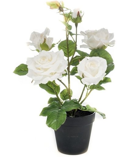 Kunstplant Roos wit 40 cm in pot