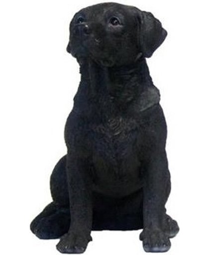 Beeldje zittende zwarte Labrador hond 21 cm
