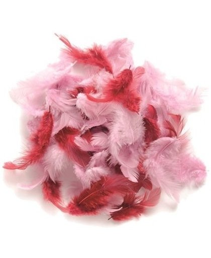 10 gram decoratie veren roze tinten