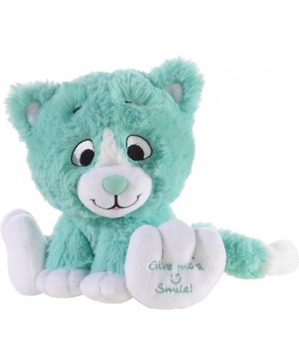 Mintgroene knuffel kat/poes Give me a smile 14 cm