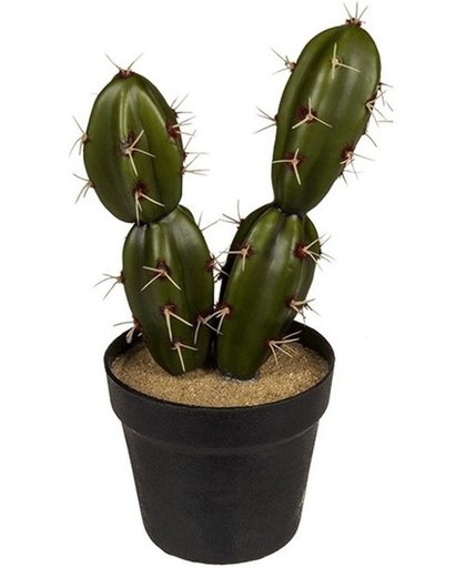 Kunstplant Cactus in zwart potje 18 cm type 2