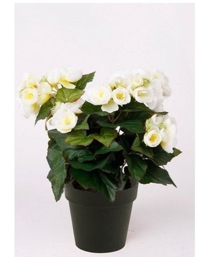 Kunstplant Begonia wit 30 cm