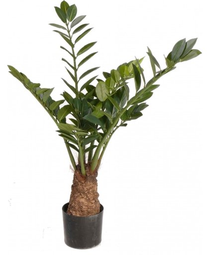 Zamioculcas kunstplant 100 cm