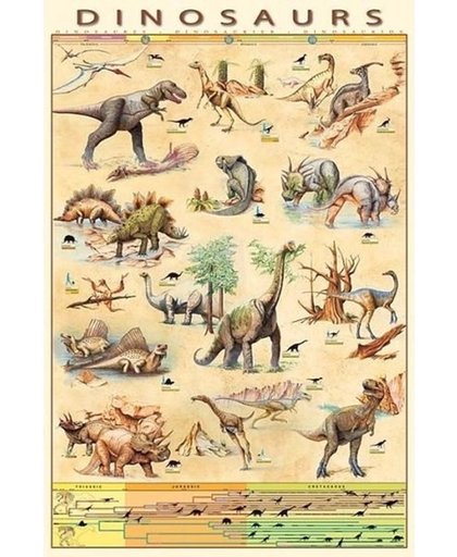 Poster dinosauriers 61 x 91 cm - dieren posters