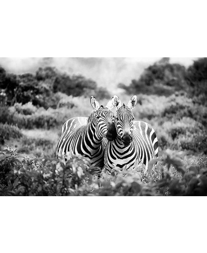 Goossens wonen & slapen schilderij zebra