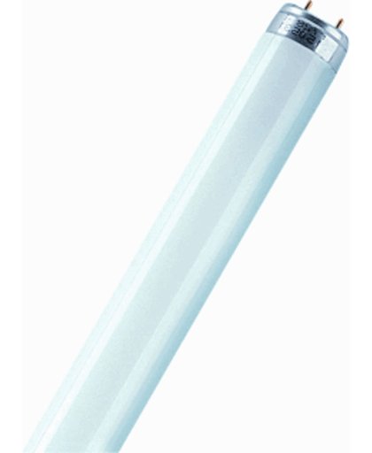 Osram Colored tl-buis 4050300024233