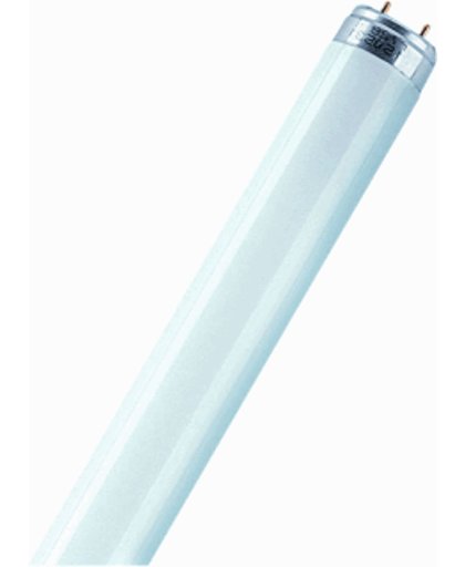 OSRAM TL-lamp Energielabel: G (A - G) G13 36 W Koudwit Buis (Ø x l) 25.5 mm x 1213.6 mm 1 stuk(s)