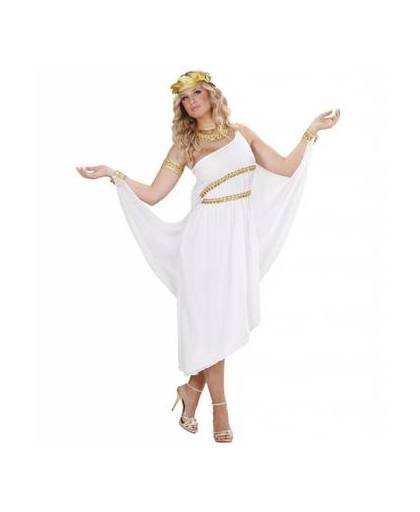 Griekse godin kostuum deluxe - maat / confectie: large / 40