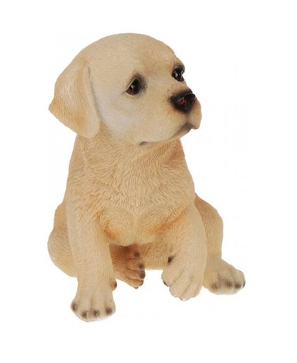 Labrador honden beeldje voor binnen 17 cm Multi