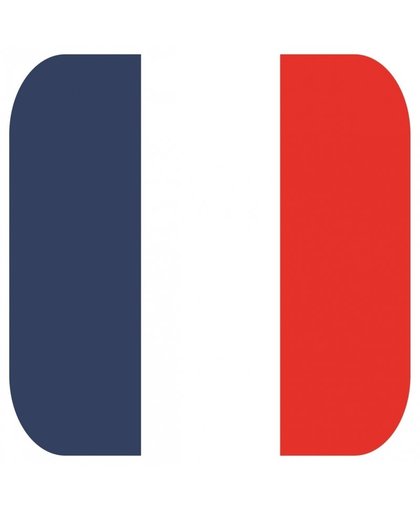 Bierviltjes Franse vlag vierkant 15 st Multi