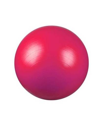 Avento Fitnessbal 75 cm roze