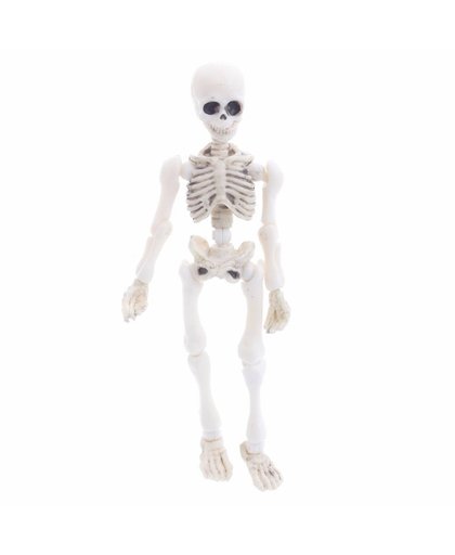 Beweegbare Mr Botten Skelet Menselijk Model Skull Full Body Mini Figuur Speelgoed Halloween