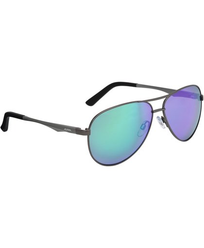 Alpina A 107 Sunglasses Gray