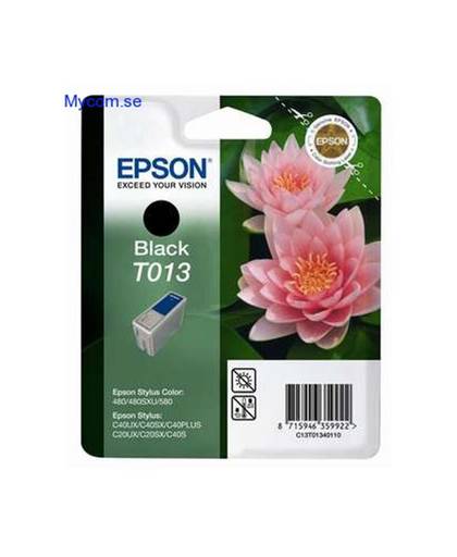Epson inktpatroon Black T013 inktcartridge