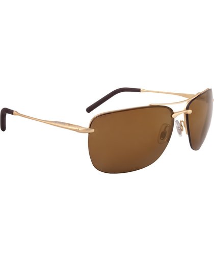 Alpina Cluu Sunglasses Gold