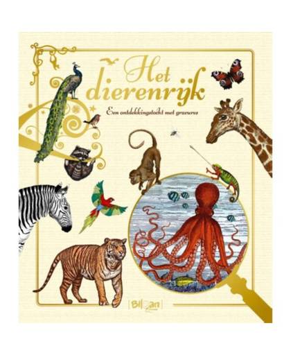 Kinderboeken prentenboek Het dierenrijk