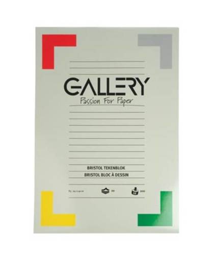 Gallery Tekenblok Bristol 42x29,7 20bl