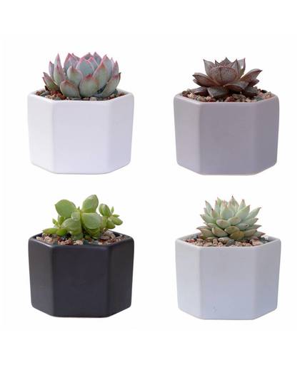 MyXL 4 stks/set Matt Decoratieve Hexagon Bloempot Mini Keramische Vetplant Potten Desktop Bloempot Bonsai Planter
