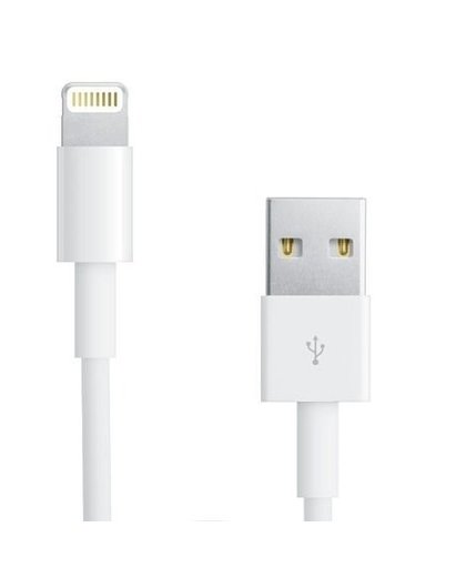Apple 1 meter Lightning Dockconnector naar USB Kabel voor iPhone
