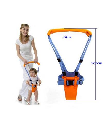 MyXL Koop Baby Walking Assistant Learning Walk Assistent Veiligheid Baby Harnesses Maan Walkers Baby Wandelen Wing   MyXL