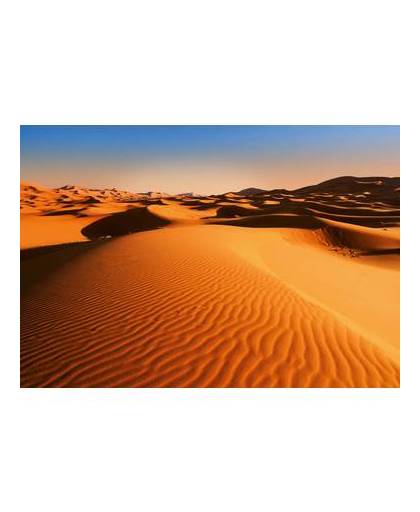 - desert landscape - 366 x 254 cm - multi