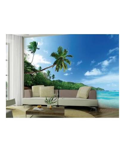- palmboom aan strand - 360 x 253 cm - multi