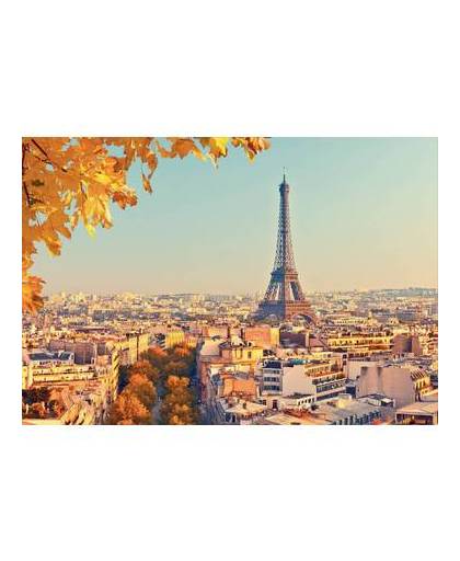 Eiffeltoren - fotobehang - 366 x 253 cm - multi