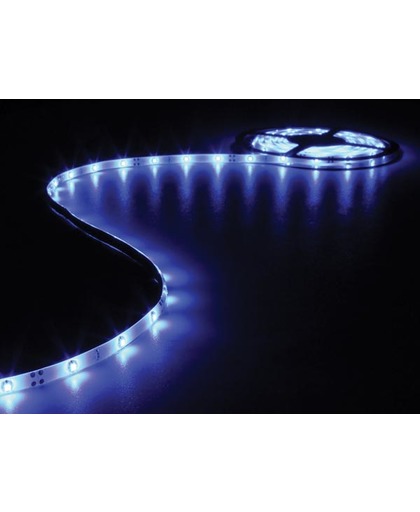 FLEXIBELE LEDSTRIP - BLAUW - 150 LEDs - 5 m - 12 V