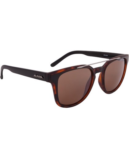 Alpina Sylon Sunglasses Black/Brown