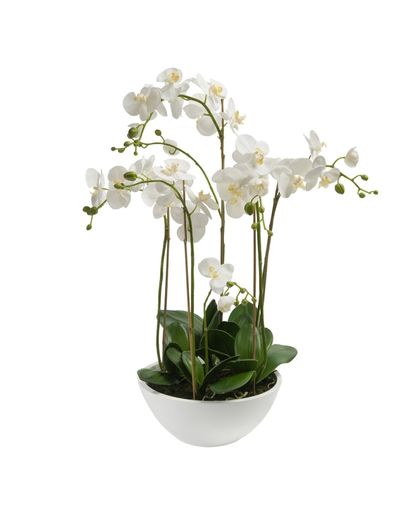Emerald Kunstplant orchidee wit 80 cm 20.335C