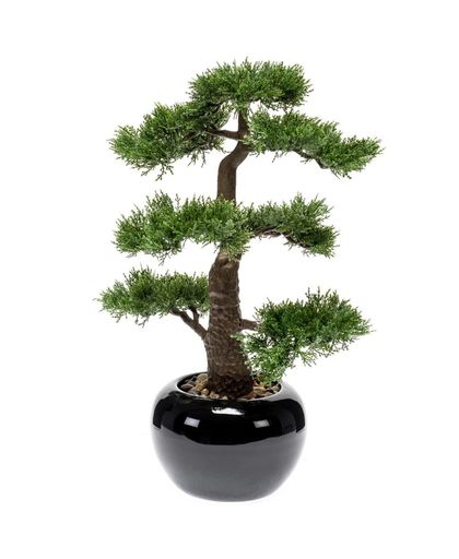 Emerald Kunstplant ceder bonsai groen 47 cm 420005