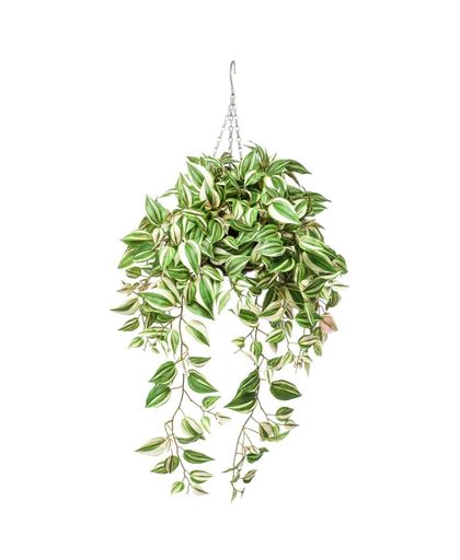 Emerald Kunstplant tradescantia hangend 70 cm 420846