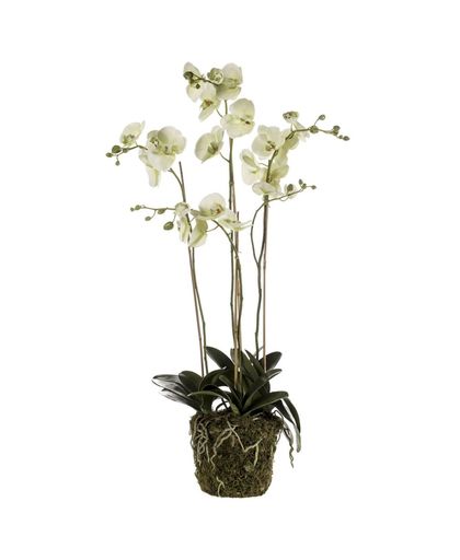 Emerald Kunstplant orchidee met mos lichtgroen 419148