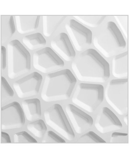 WallArt 3D Wandpanelen Gaps 12 stuks GA-WA01