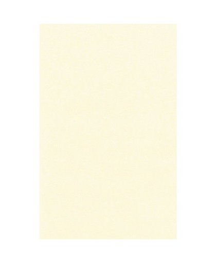Cremewit tafellaken/tafelkleed 138 x 220 cm herbruikbaar Creme