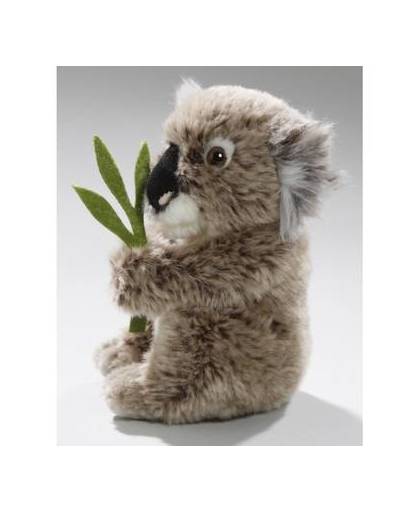 Pluche koala knuffel 17 cm