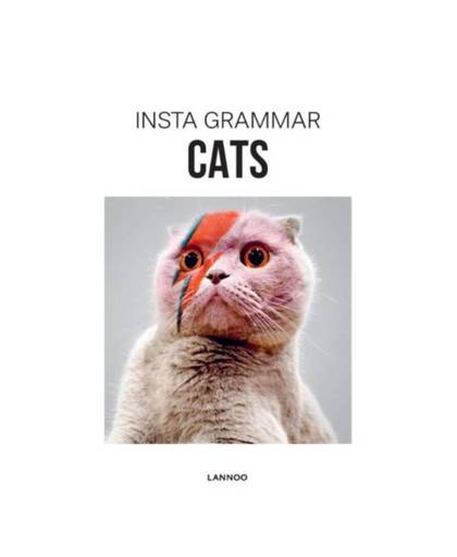Cats - Insta grammar
