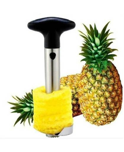 Rvs Fruit Ananas Corer Slicers Peeler Snoeier Cutter Keuken Cutter Peeler Makkelijk Tool