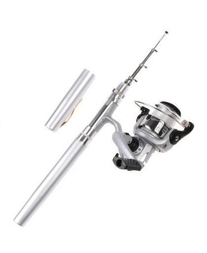 1 m Draagbare Hengel Combo Set Pen mini hengel set voor river lake zee vissen 1 set = staaf pen + spinning reel