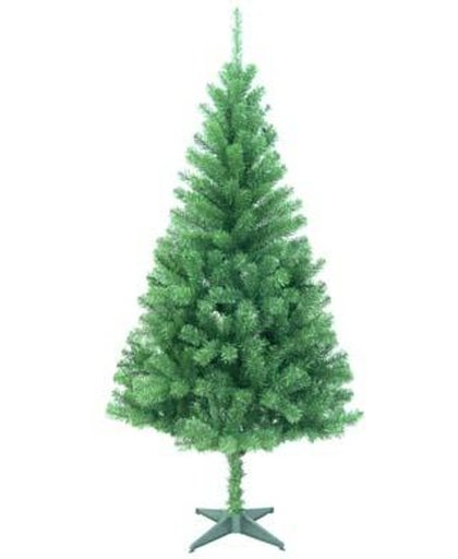 Kerstboom Canadian pine 180cm