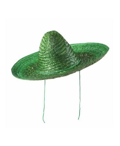 Sombrero groen 48cm