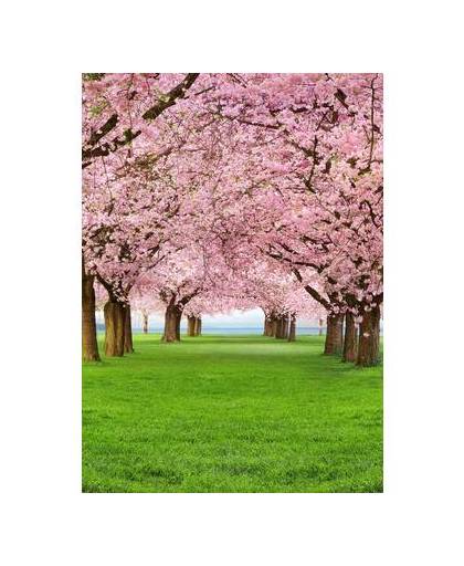 - cherry trees - 183 x 254 cm - multi