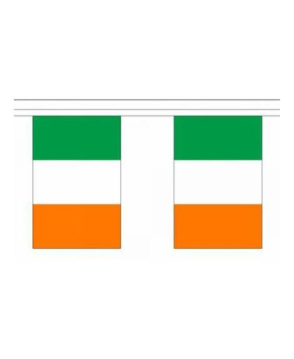 Luxe ierland vlaggenlijn 9 m