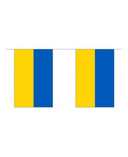 Luxe oekraine vlaggenlijn 9 m