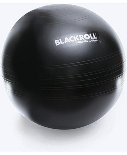 Blackroll Gymbal 65 cm Fitnessball en stabiliteitsbal - Anti-Burst-System