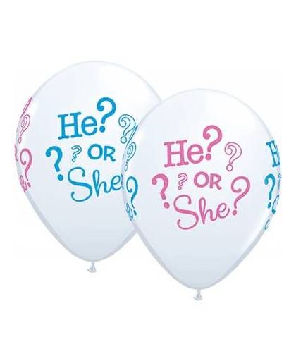 Geboorte geslacht ballonnen 25 stuks