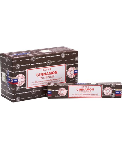 SATYA Cinnamon 15 grams