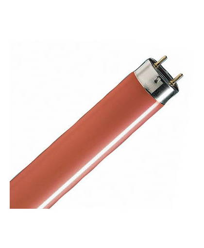 Philips TL-D Colored 18W 18W G13 E Rood fluorescente lamp